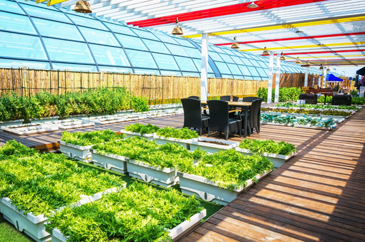 9 Steps for Creating Rooftop Gardening Space