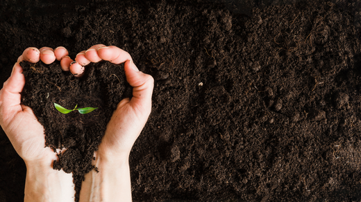 Role Of Technology In Agriculture and Gardening