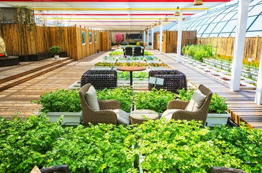 The Ultimate Kitchen Gardening Guide for Indian Homes