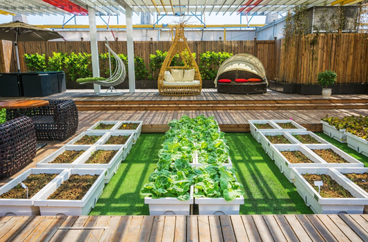 Urban Gardening Tips for A Thriving Garden