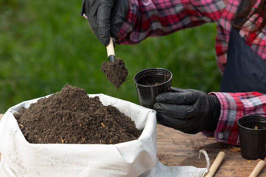 Fertilizers vs. Manure