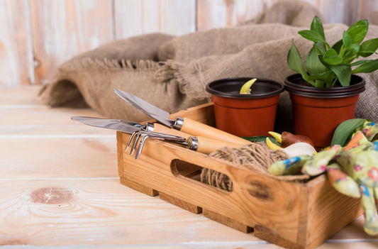 Top 10 Eco-Friendly Gardening Products for Beginners