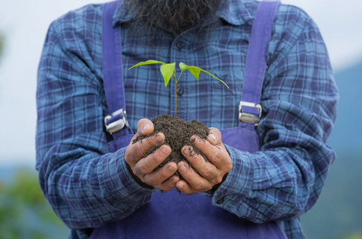 7 Benefits of Eco-Friendly Fertilizers