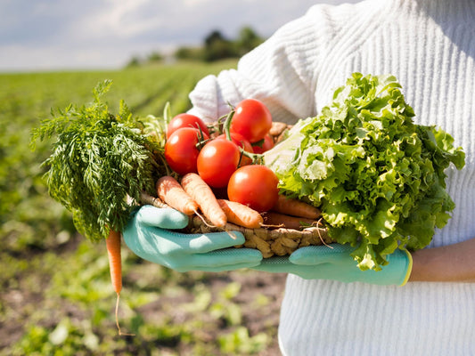 Organic vs. Conventional Farming: Which is Better
